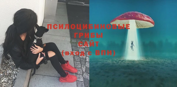 дмт Абдулино