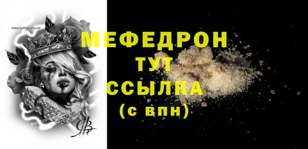 индика Абаза