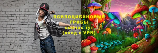 метадон Алзамай