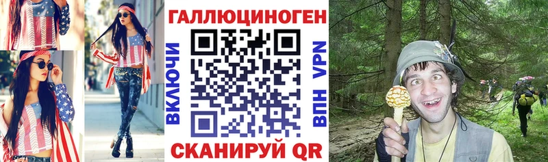 Галлюциногенные грибы Psilocybine cubensis  Елабуга 