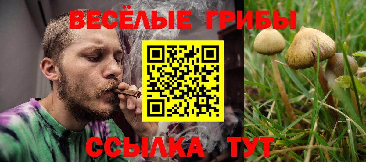 Псилоцибиновые грибы Magic Shrooms  Галлюциногенные грибы Psilocybe  Вход с VPN  сколько стоит  Елабуга 